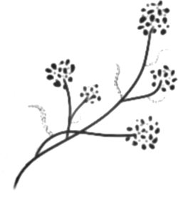 Fineline bloesemtak